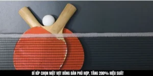 Bí Kíp Chọn Mặt Vợt Bóng Bàn Phù Hợp, Tăng 200% Hiệu Suất