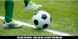 Kèo Nhà Cái Macao - Cách Đọc Kèo & Bí Quyết Chơi Hiệu Quả