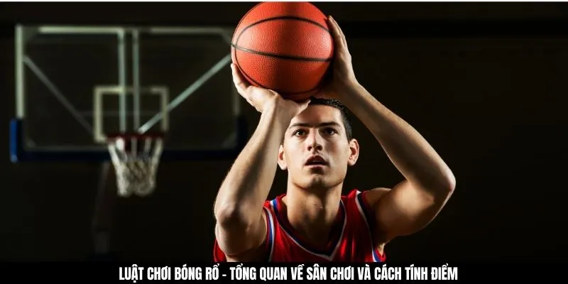 Luật chơi bóng rổ - Tổng quan về sân chơi và cách tính điểm