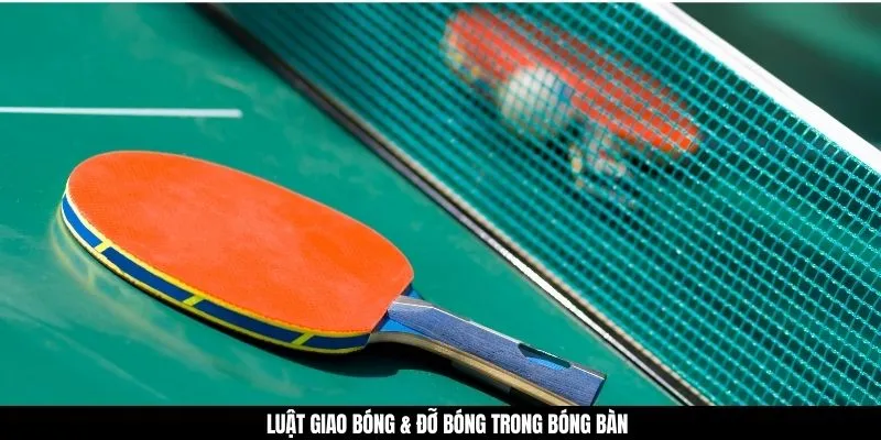 Luật giao bóng & đỡ bóng trong bóng bàn