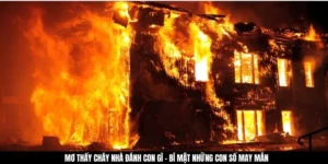 Mơ Thấy Cháy Nhà Đánh Con Gì - Bí Mật Những Con Số May Mắn
